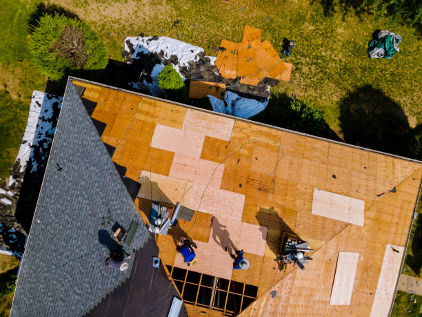 Roof Gutter Cleaning in Angola On The Lake, NY